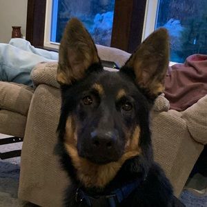 Meet your Posher, Brenna